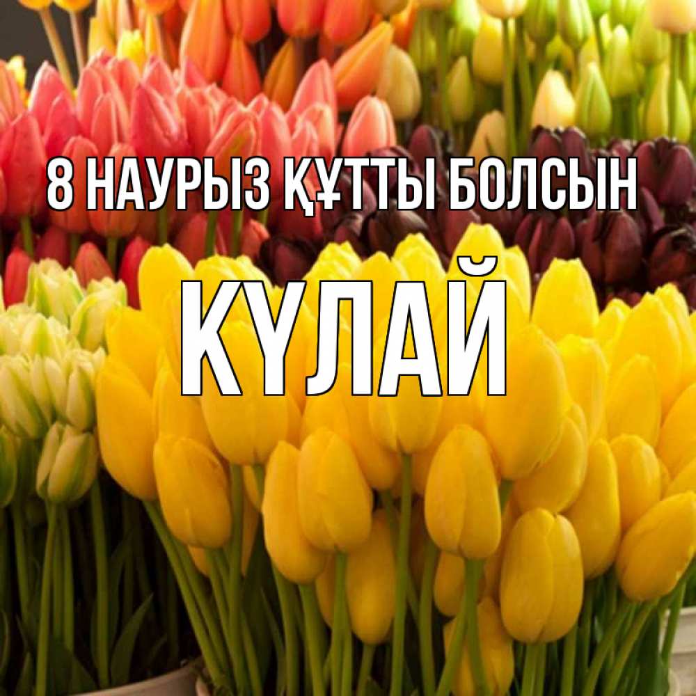 Күн сайын ашық хат с именем, КҮЛАЙ 8 наурыз құтты болсын цветы Онлайн тегін жүктеп алу тілектері бар керемет карта 