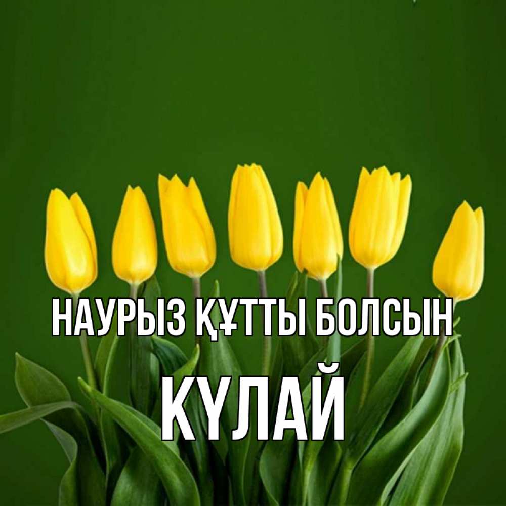 Күн сайын ашық хат с именем, КҮЛАЙ Наурыз құтты болсын желтого цвета 3 Онлайн тегін жүктеп алу тілектері бар керемет карта 