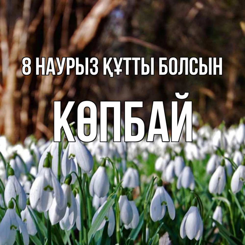 Күн сайын ашық хат с именем, Көпбай 8 наурыз құтты болсын с подснежниками 1 Онлайн тегін жүктеп алу тілектері бар керемет карта 