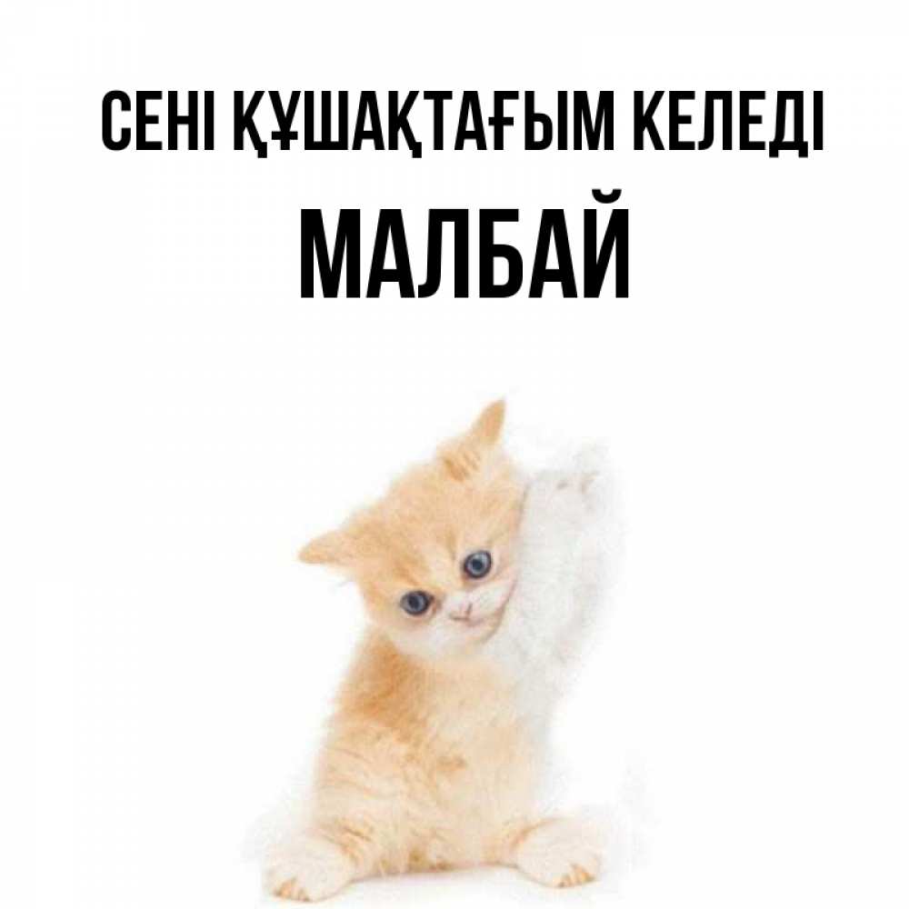 Күн сайын ашық хат с именем, МАЛБАЙ сені құшақтағым келеді я хочу очень скорее обнимаешек Онлайн тегін жүктеп алу тілектері бар керемет карта 