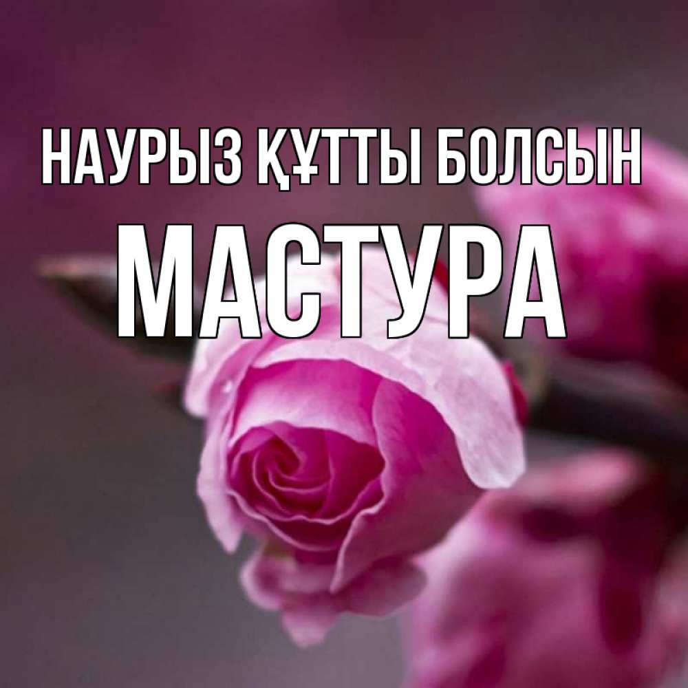 Күн сайын ашық хат с именем, МАСТУРА Наурыз құтты болсын весна Онлайн тегін жүктеп алу тілектері бар керемет карта 