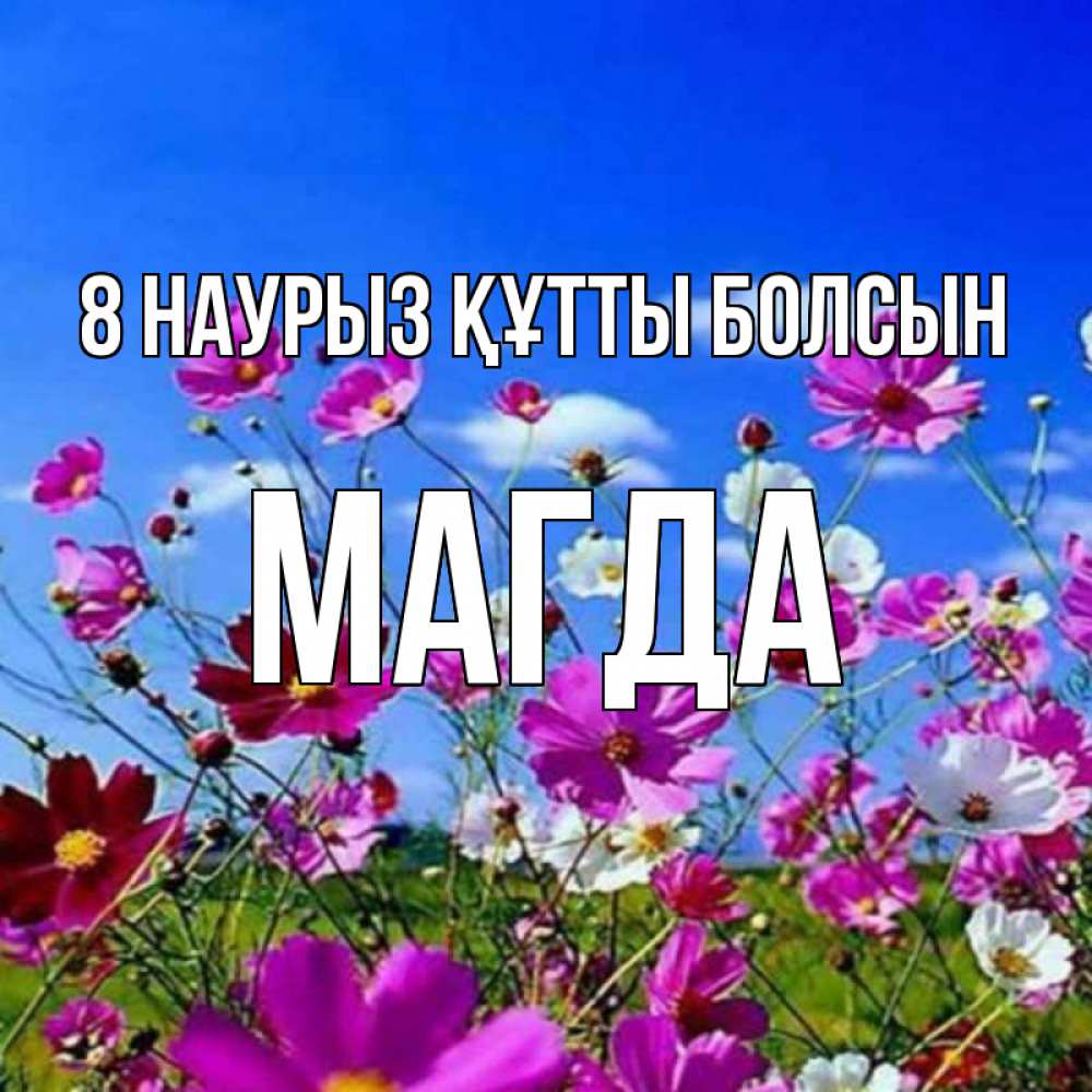 Күн сайын ашық хат с именем, Магда 8 наурыз құтты болсын цветы Онлайн тегін жүктеп алу тілектері бар керемет карта 