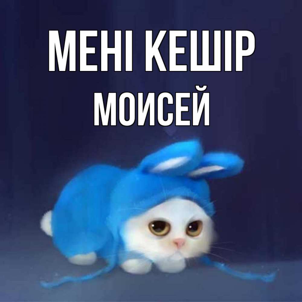 Күн сайын ашық хат с именем, Моисей Мені кешір невинный котозай просит прощения Онлайн тегін жүктеп алу тілектері бар керемет карта 