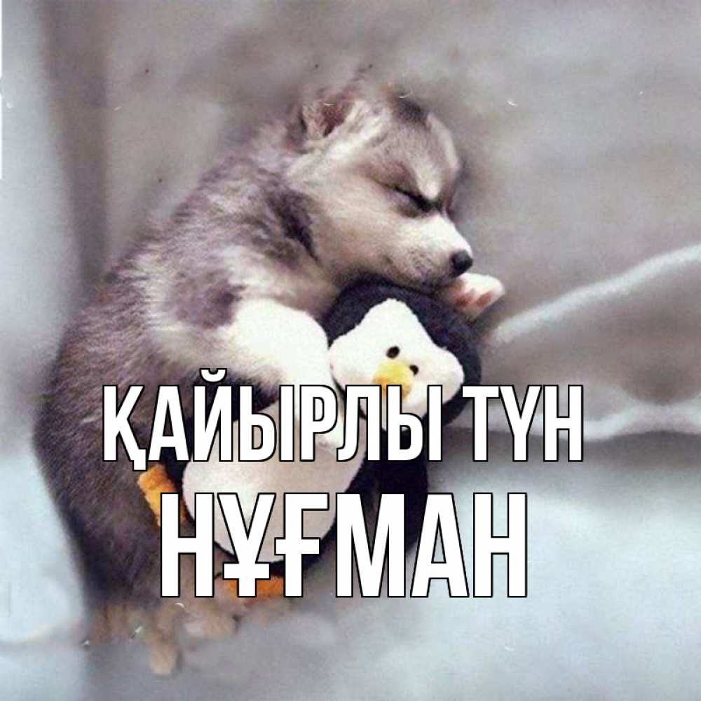 Күн сайын ашық хат с именем, НҰҒМАН Қайырлы түн обнимашки щенка и пингвина Онлайн тегін жүктеп алу тілектері бар керемет карта 