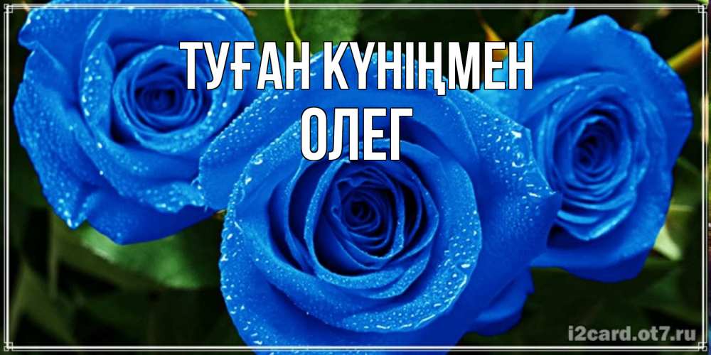Күн сайын ашық хат с именем, Олег Туған күніңмен розы с синим цветом Онлайн тегін жүктеп алу тілектері бар керемет карта 