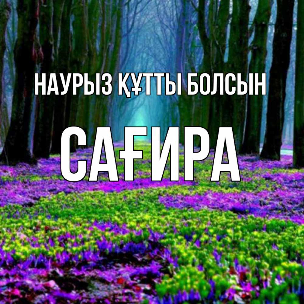 Күн сайын ашық хат с именем, САҒИРА Наурыз құтты болсын фиолетовые цветы в лесу 1 Онлайн тегін жүктеп алу тілектері бар керемет карта 