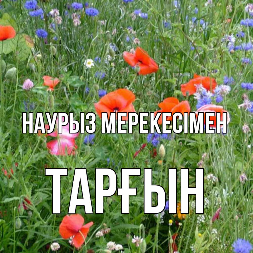 Күн сайын ашық хат с именем, ТАРҒЫН Наурыз мерекесімен праздник весны наурыз супер открытка Онлайн тегін жүктеп алу тілектері бар керемет карта 