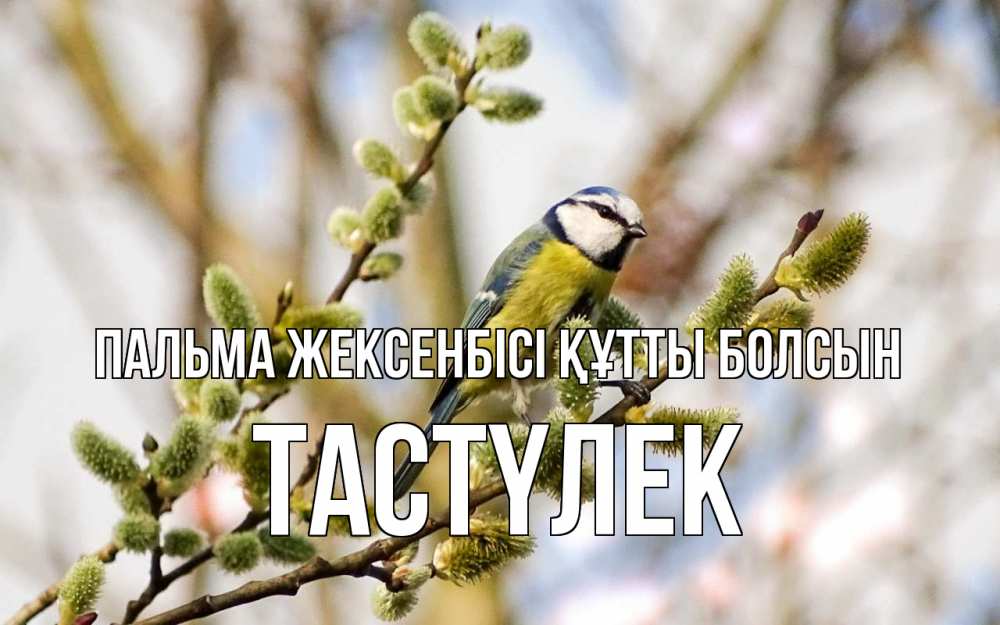 Күн сайын ашық хат с именем, ТАСТҮЛЕК Пальма жексенбісі құтты болсын верба Онлайн тегін жүктеп алу тілектері бар керемет карта 