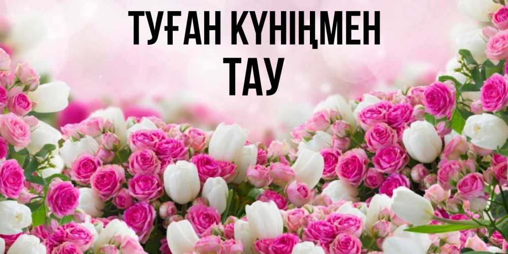 Күн сайын ашық хат с именем, ТАУ Туған күніңмен открытка с разными розами Онлайн тегін жүктеп алу тілектері бар керемет карта 