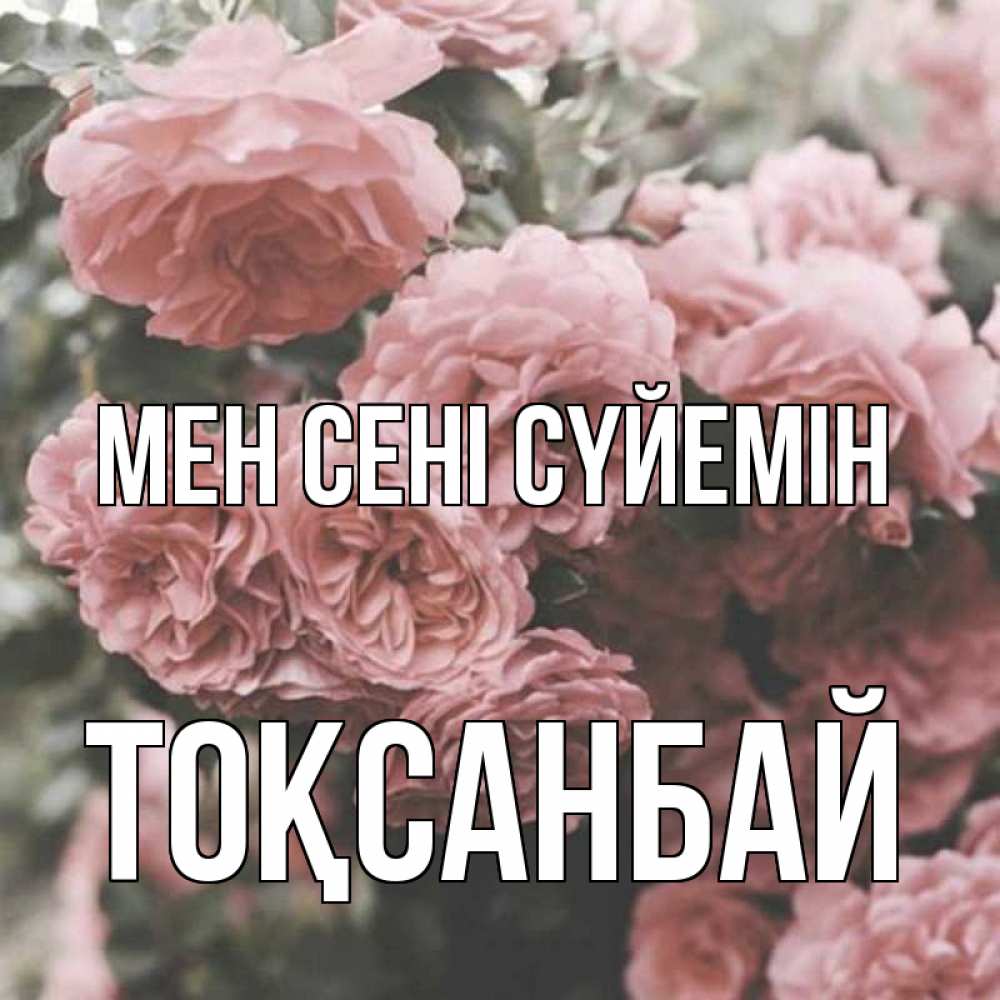Күн сайын ашық хат с именем, ТОҚСАНБАЙ Мен сені сүйемін розы 3 Онлайн тегін жүктеп алу тілектері бар керемет карта 