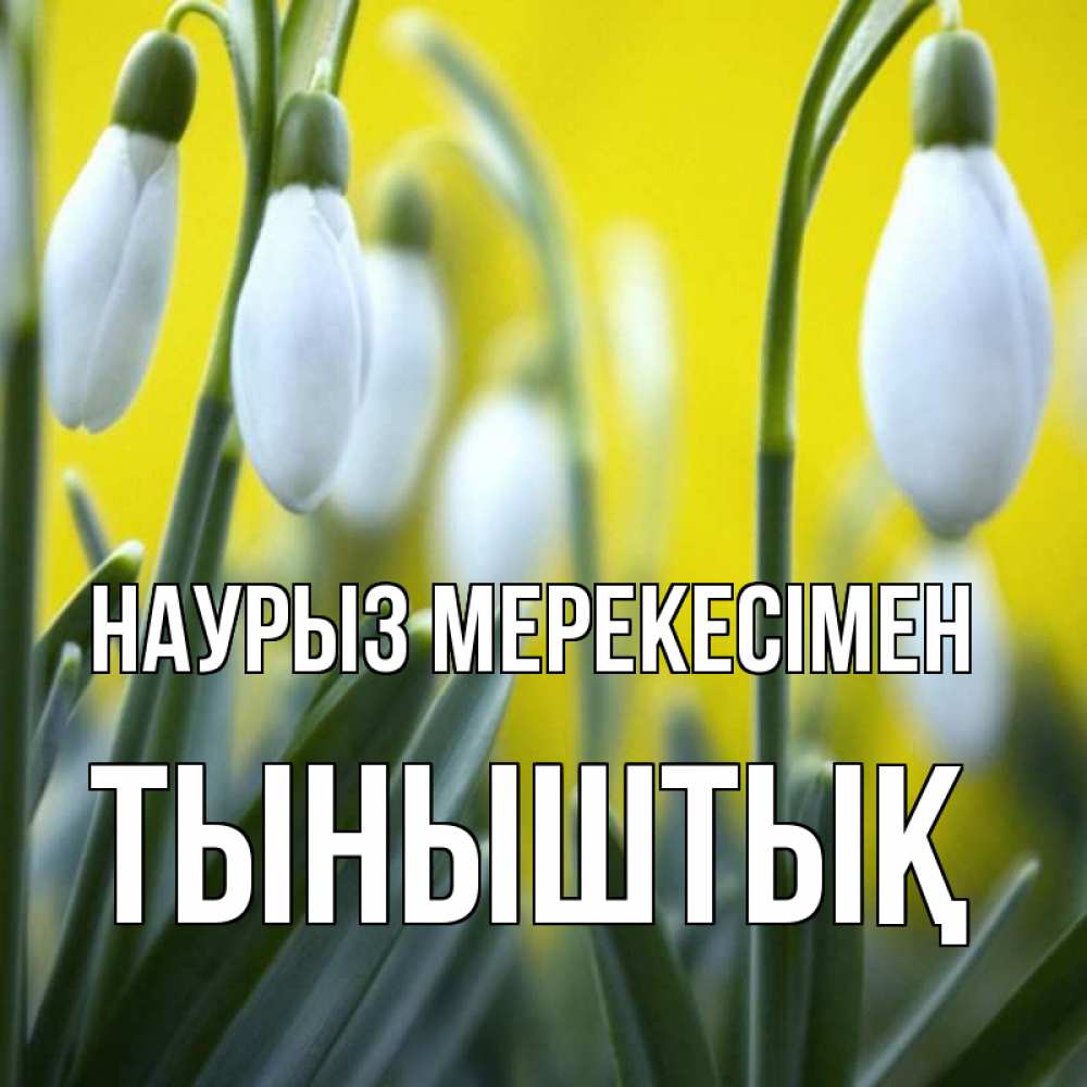 Күн сайын ашық хат с именем, ТЫНЫШТЫҚ Наурыз мерекесімен весенние цветы Онлайн тегін жүктеп алу тілектері бар керемет карта 