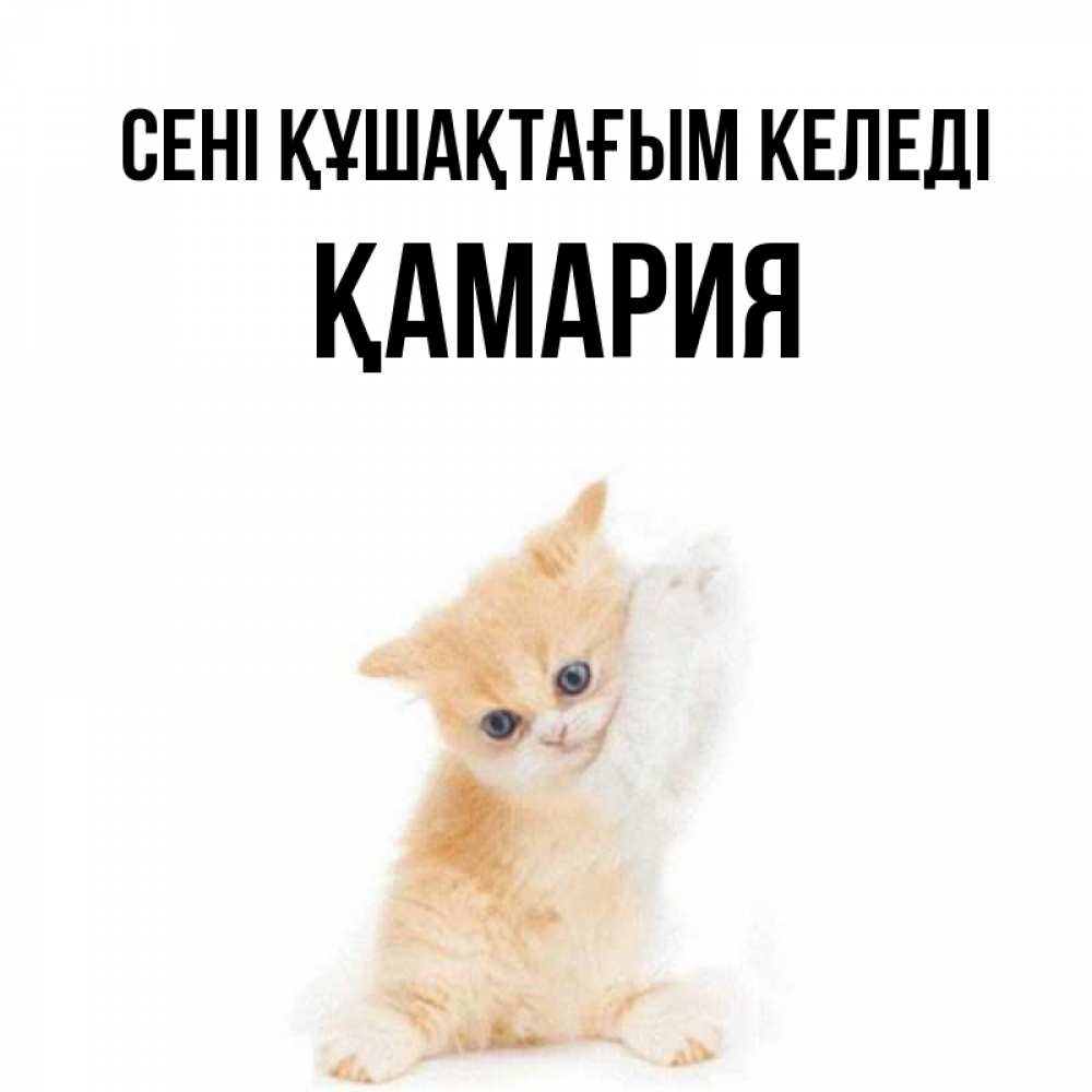 Күн сайын ашық хат с именем, ҚАМАРИЯ сені құшақтағым келеді я хочу очень скорее обнимаешек Онлайн тегін жүктеп алу тілектері бар керемет карта 