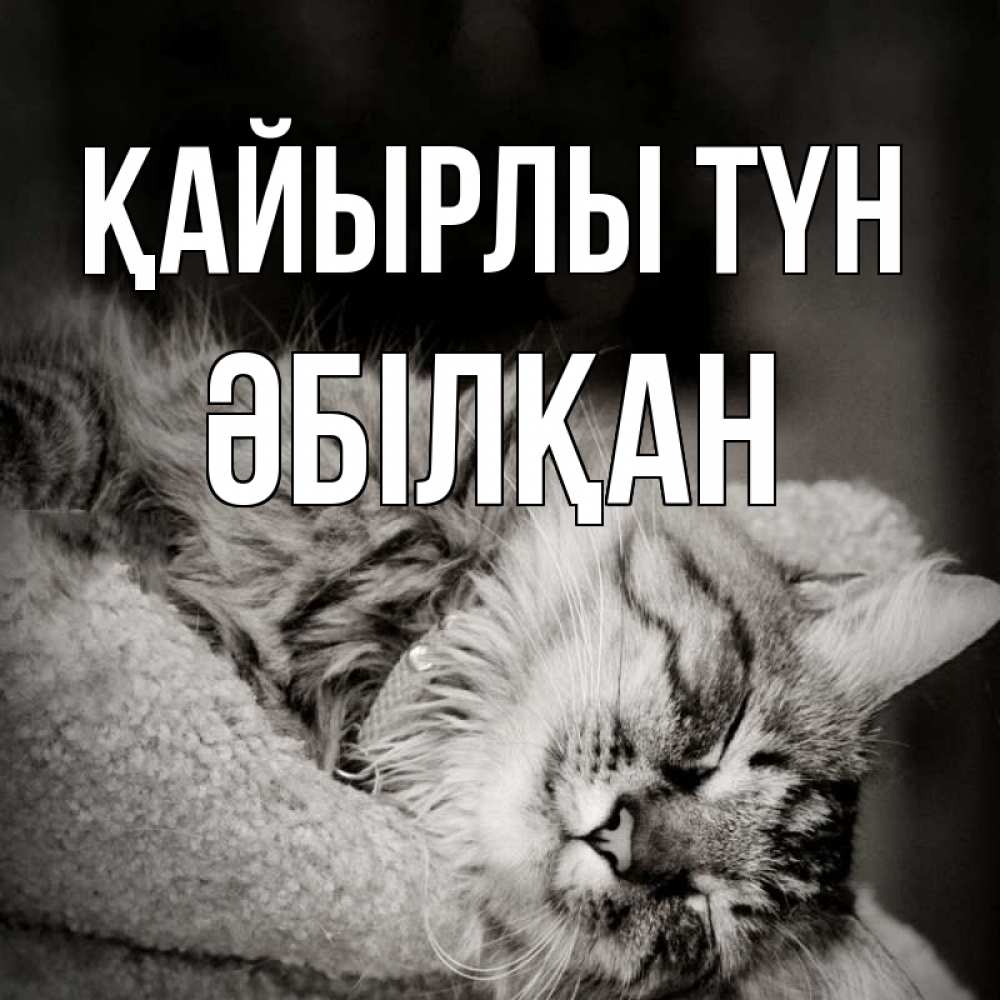 Күн сайын ашық хат с именем, Әбілқан Қайырлы түн котярик пушистый Онлайн тегін жүктеп алу тілектері бар керемет карта 