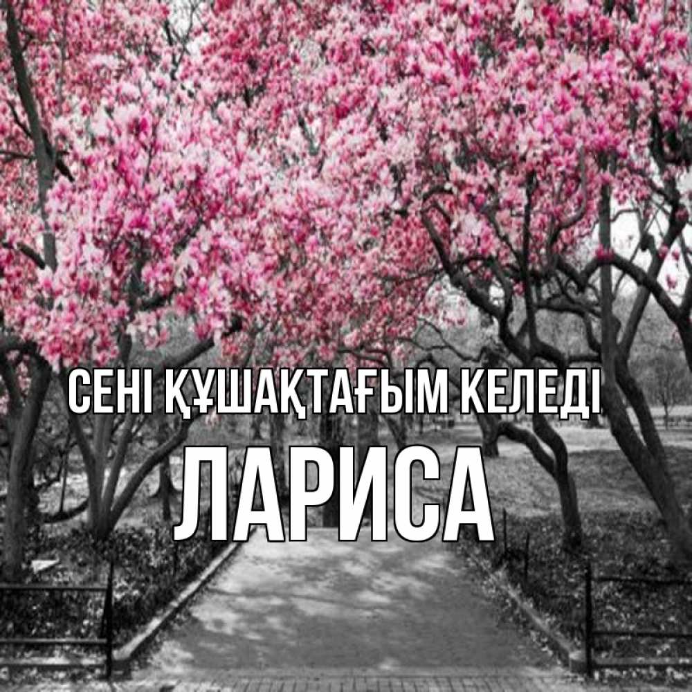 Күн сайын ашық хат с именем, Лариса сені құшақтағым келеді обработанное фото Онлайн тегін жүктеп алу тілектері бар керемет карта 