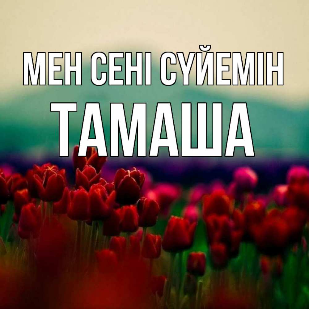 Күн сайын ашық хат с именем, ТАМАША Мен сені сүйемін тюльпаны 4 Онлайн тегін жүктеп алу тілектері бар керемет карта 