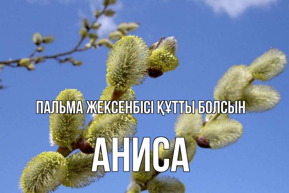 Картинка Пальма жексенбісі құтты болсын, АНИСА