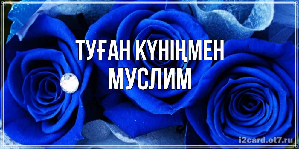 Күн сайын ашық хат с именем, Муслим Туған күніңмен синие розы в росе Онлайн тегін жүктеп алу тілектері бар керемет карта 