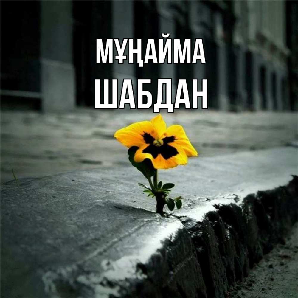 Күн сайын ашық хат с именем, ШАБДАН Мұңайма не сдавайся Онлайн тегін жүктеп алу тілектері бар керемет карта 