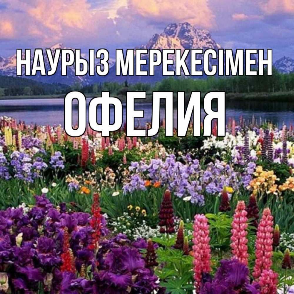 Күн сайын ашық хат с именем, Офелия Наурыз мерекесімен праздник весны наурыз Онлайн тегін жүктеп алу тілектері бар керемет карта 