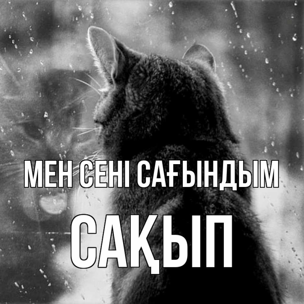 Күн сайын ашық хат с именем, САҚЫП Мен сені сағындым скорее ко мне приходи 1 Онлайн тегін жүктеп алу тілектері бар керемет карта 