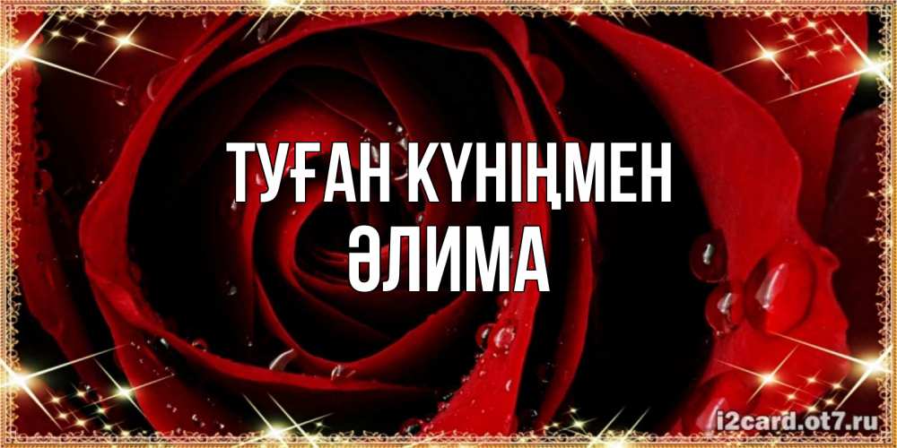 Күн сайын ашық хат с именем, ӘЛИМА Туған күніңмен цветок в росе на день рождения Онлайн тегін жүктеп алу тілектері бар керемет карта 