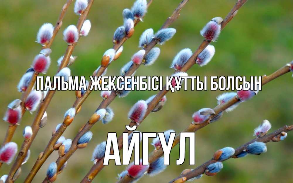 Күн сайын ашық хат с именем, АЙГҮЛ Пальма жексенбісі құтты болсын верба Онлайн тегін жүктеп алу тілектері бар керемет карта 