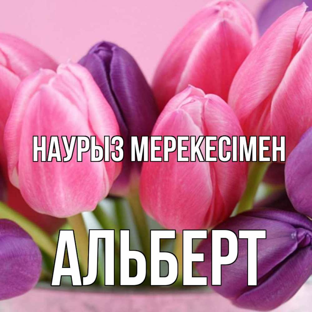 Күн сайын ашық хат с именем, Альберт Наурыз мерекесімен маме 1 Онлайн тегін жүктеп алу тілектері бар керемет карта 