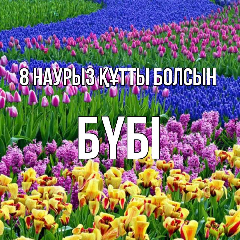 Күн сайын ашық хат с именем, БҮБІ 8 наурыз құтты болсын цветы Онлайн тегін жүктеп алу тілектері бар керемет карта 