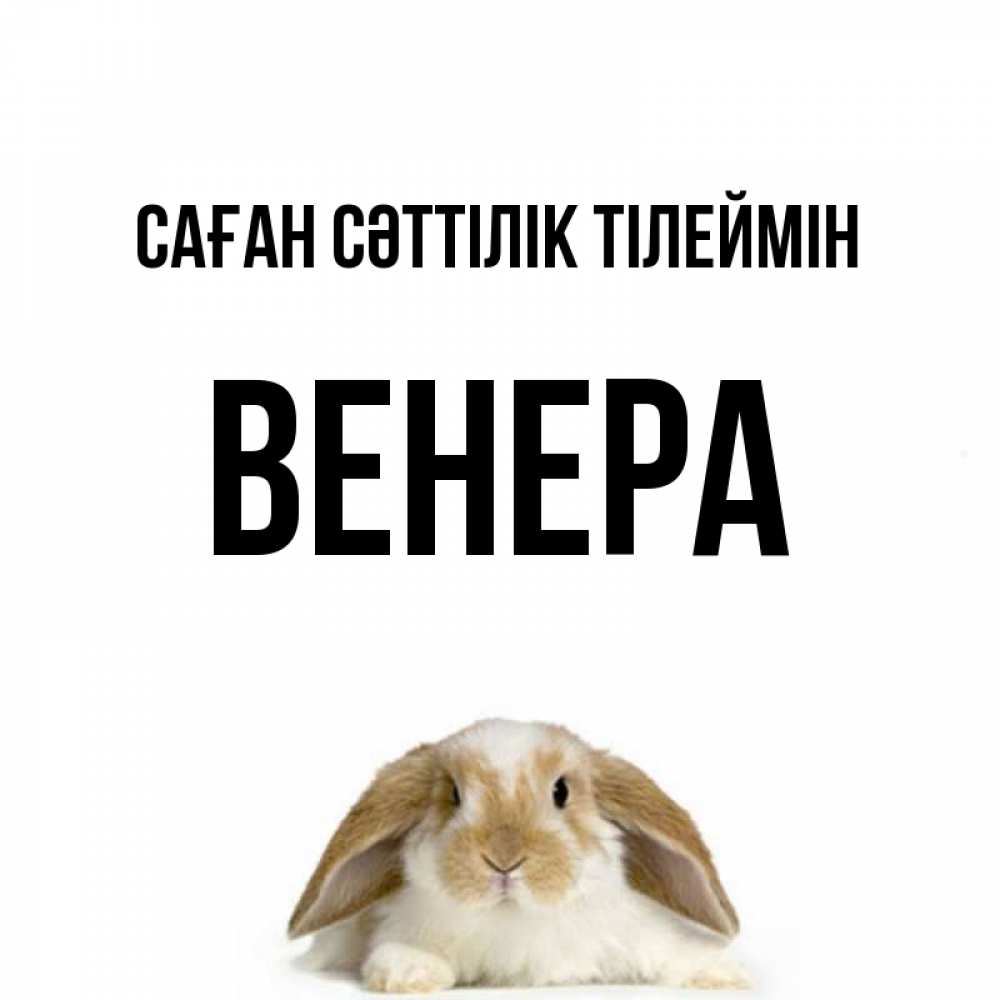 Күн сайын ашық хат с именем, Венера Саған сәттілік тілеймін открытки с произвольным текстом который можно вставить в открытку и создать ее самостоятельно бесплатно онлайн Онлайн тегін жүктеп алу тілектері бар керемет карта 
