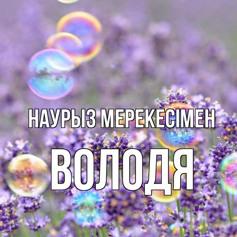 Күн сайын ашық хат с именем, Володя Наурыз мерекесімен цветы Онлайн тегін жүктеп алу тілектері бар керемет карта 