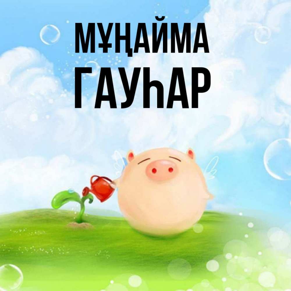 Күн сайын ашық хат с именем, Гауһар Мұңайма поливает цветок порося Онлайн тегін жүктеп алу тілектері бар керемет карта 