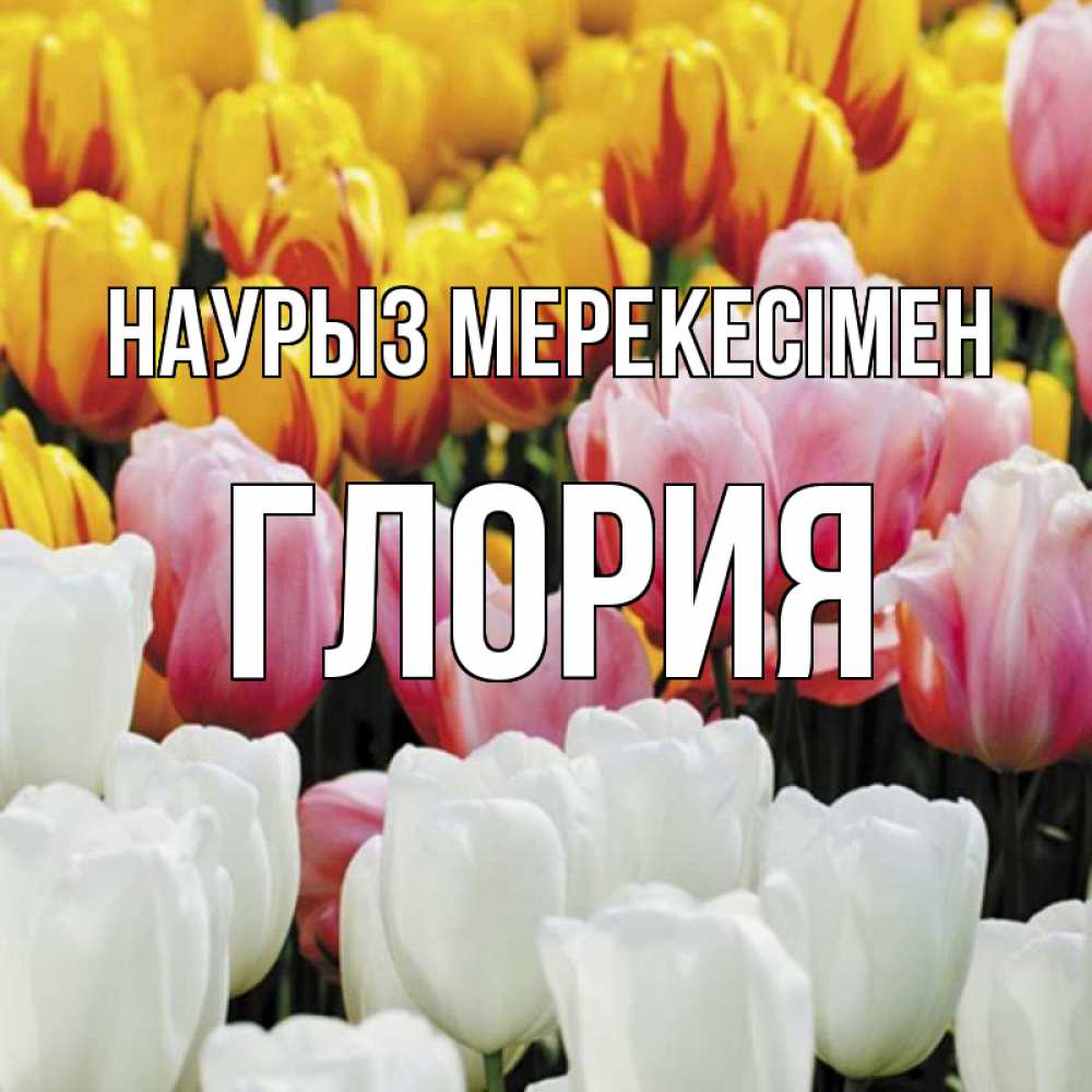 Күн сайын ашық хат с именем, Глория Наурыз мерекесімен разноцветные цветы Онлайн тегін жүктеп алу тілектері бар керемет карта 