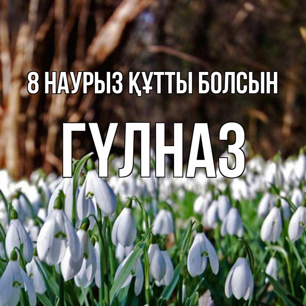 Күн сайын ашық хат с именем, ГҮЛНАЗ 8 наурыз құтты болсын с подснежниками 1 Онлайн тегін жүктеп алу тілектері бар керемет карта 