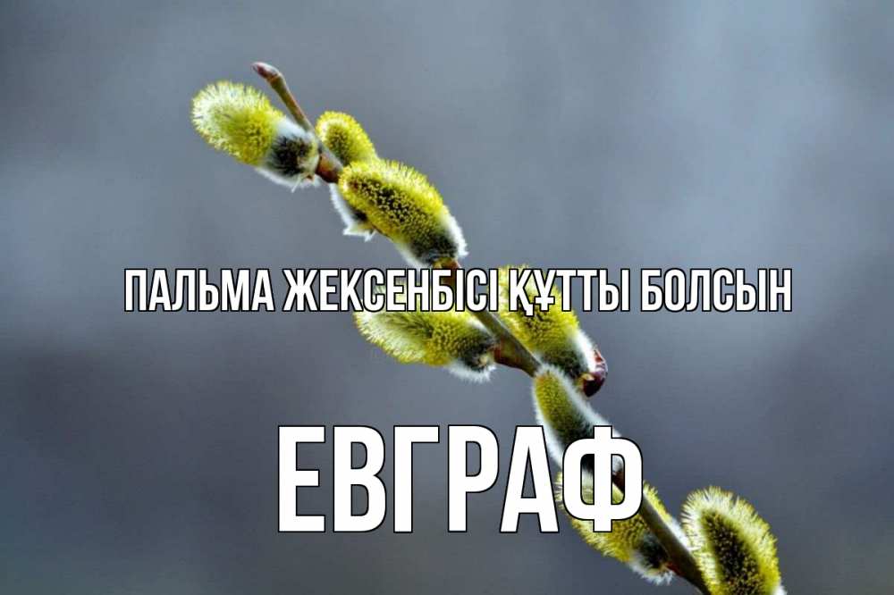 Күн сайын ашық хат с именем, Евграф Пальма жексенбісі құтты болсын верба Онлайн тегін жүктеп алу тілектері бар керемет карта 