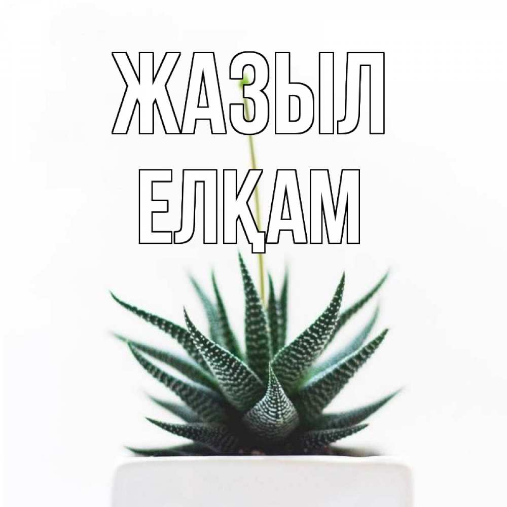Күн сайын ашық хат с именем, Елқам Жазыл короче это непонятная колючка Онлайн тегін жүктеп алу тілектері бар керемет карта 