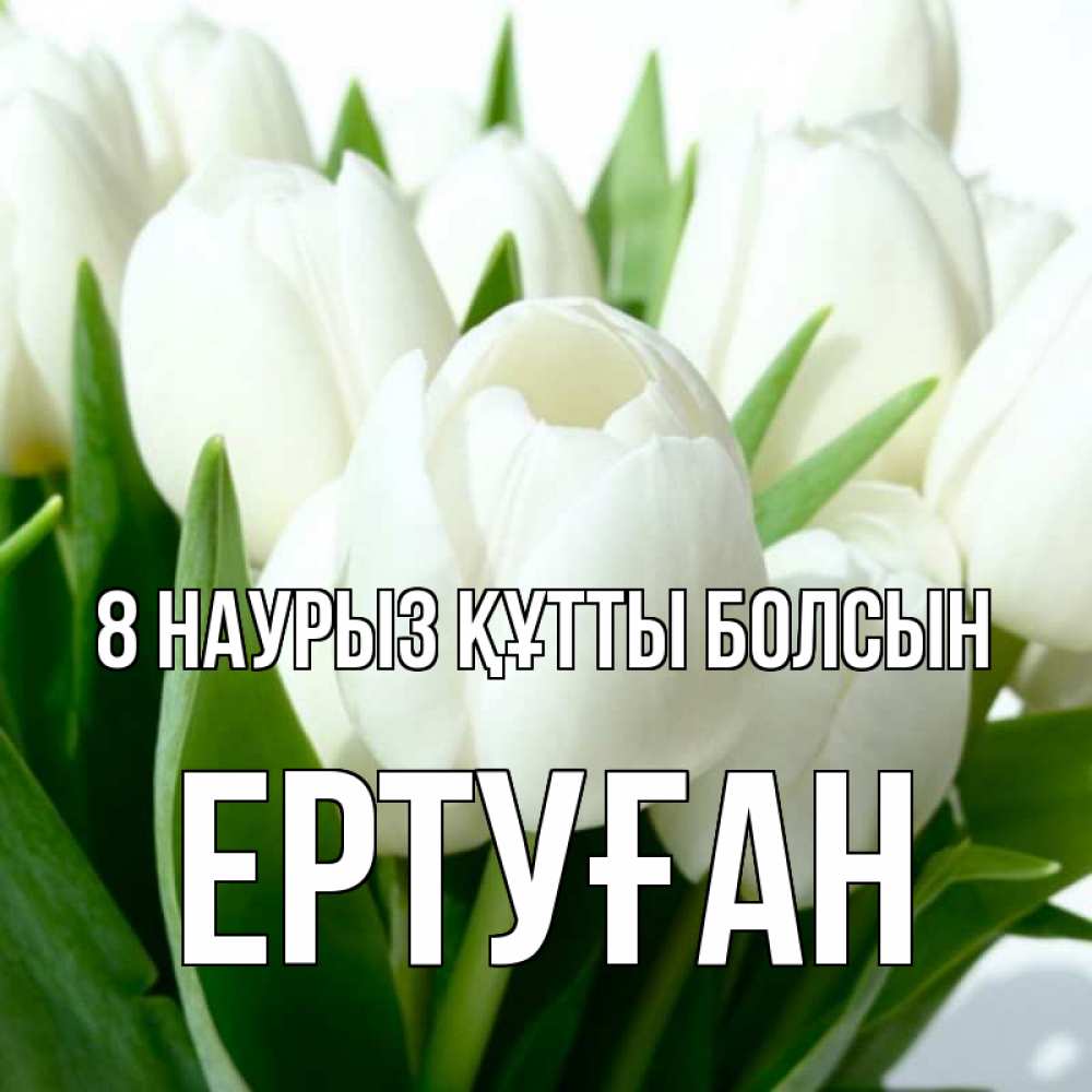 Күн сайын ашық хат с именем, Ертуған 8 наурыз құтты болсын цветы Онлайн тегін жүктеп алу тілектері бар керемет карта 