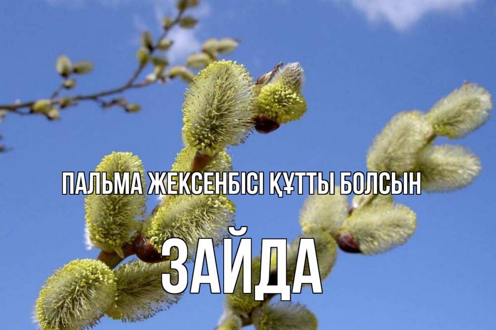 Күн сайын ашық хат с именем, ЗАЙДА Пальма жексенбісі құтты болсын верба Онлайн тегін жүктеп алу тілектері бар керемет карта 