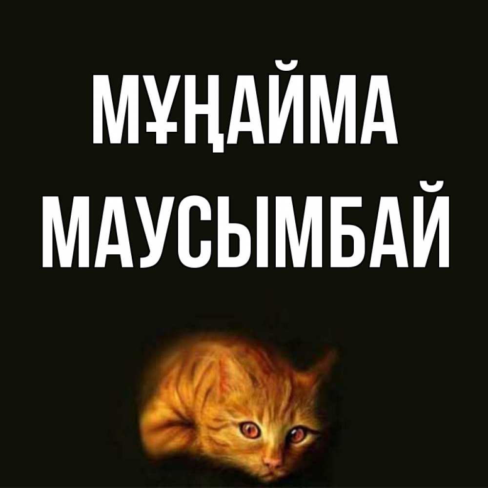 Күн сайын ашық хат с именем, МАУСЫМБАЙ Мұңайма лежащий кот в темноте Онлайн тегін жүктеп алу тілектері бар керемет карта 