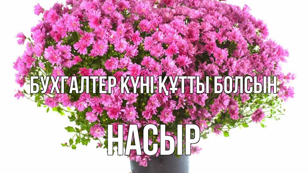 Күн сайын ашық хат с именем, НАСЫР бухгалтер күні құтты болсын с днем бухгалтера Онлайн тегін жүктеп алу тілектері бар керемет карта 