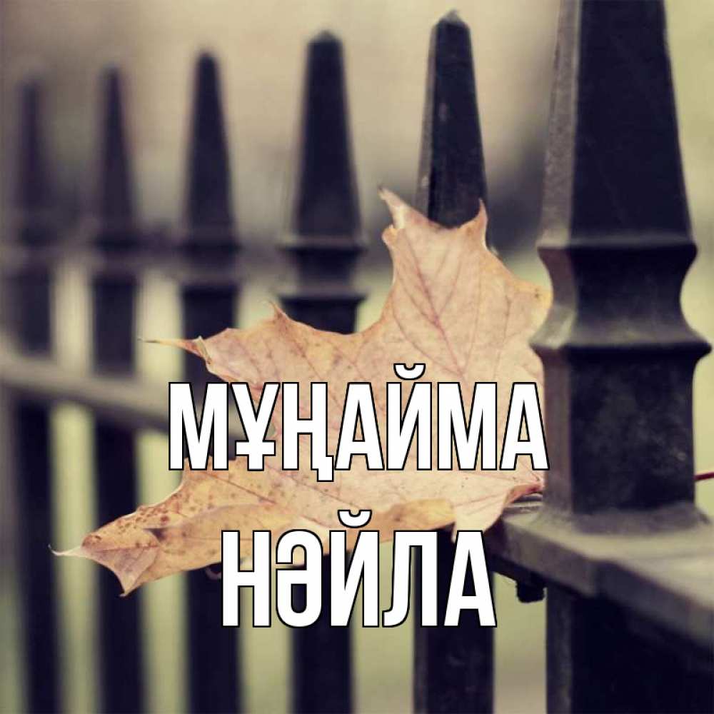 Күн сайын ашық хат с именем, НӘЙЛА Мұңайма лист клена Онлайн тегін жүктеп алу тілектері бар керемет карта 