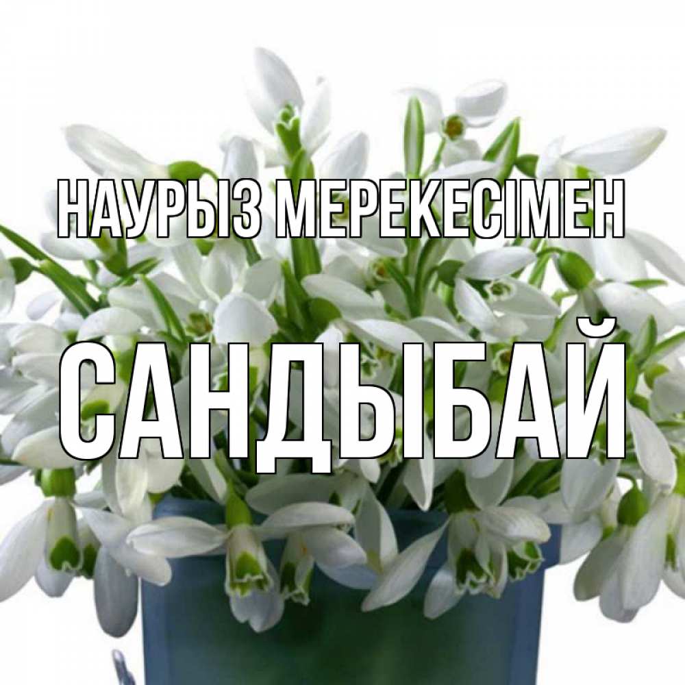 Күн сайын ашық хат с именем, САНДЫБАЙ Наурыз мерекесімен цветы к наурызу новый год в Казахстане Онлайн тегін жүктеп алу тілектері бар керемет карта 