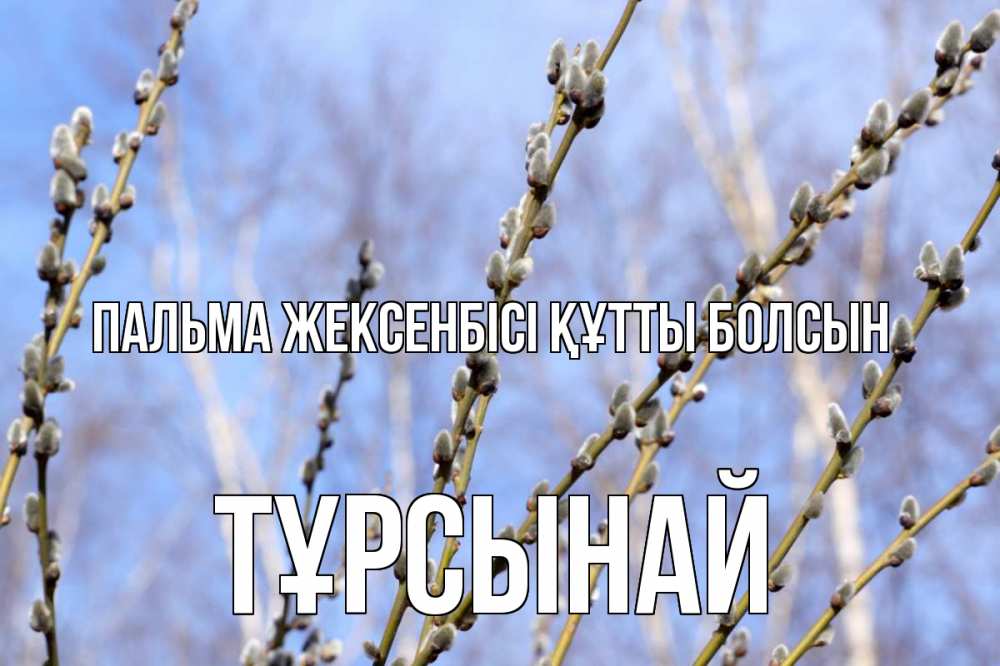 Күн сайын ашық хат с именем, ТҰРСЫНАЙ Пальма жексенбісі құтты болсын верба Онлайн тегін жүктеп алу тілектері бар керемет карта 