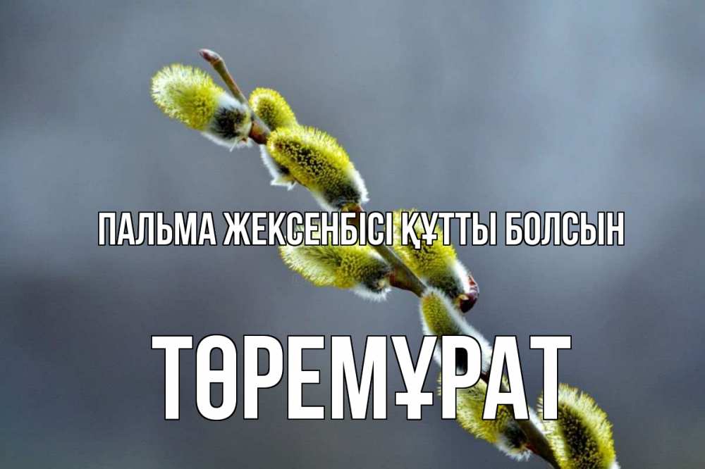 Күн сайын ашық хат с именем, Төремұрат Пальма жексенбісі құтты болсын верба Онлайн тегін жүктеп алу тілектері бар керемет карта 