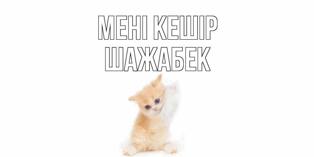 Күн сайын ашық хат с именем, ШАЖАБЕК Мені кешір кот Онлайн тегін жүктеп алу тілектері бар керемет карта 