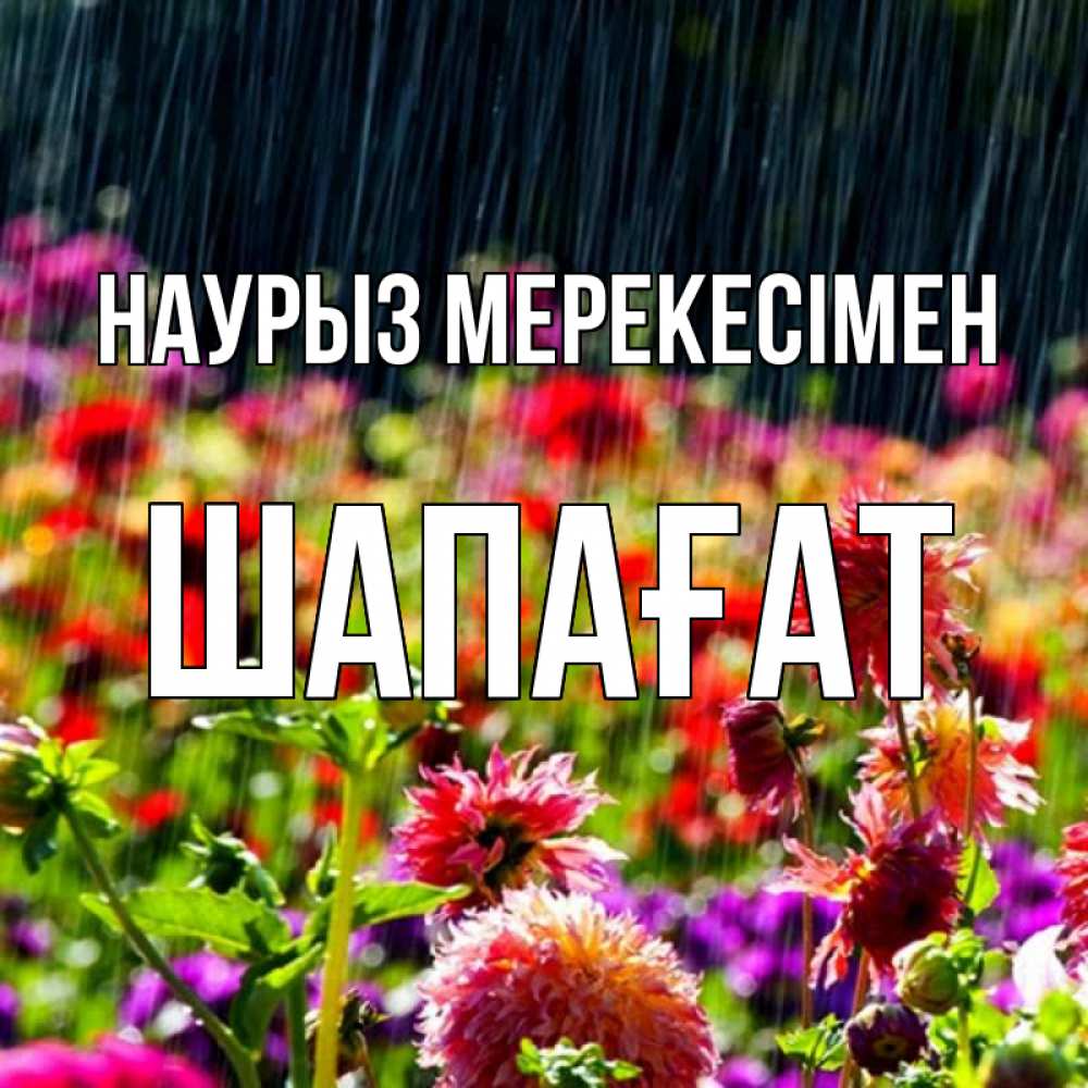 Күн сайын ашық хат с именем, ШАПАҒАТ Наурыз мерекесімен цветы под дождиком к международному женскому дню Онлайн тегін жүктеп алу тілектері бар керемет карта 