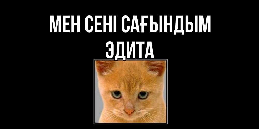 Күн сайын ашық хат с именем, Эдита Мен сені сағындым открытки рыжий котенок скучает по тебе Онлайн тегін жүктеп алу тілектері бар керемет карта 