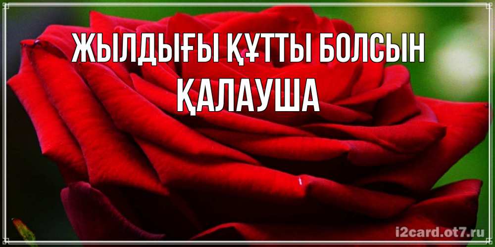 Күн сайын ашық хат с именем, Қалауша Жылдығы құтты болсын розочка очень красивая Онлайн тегін жүктеп алу тілектері бар керемет карта 