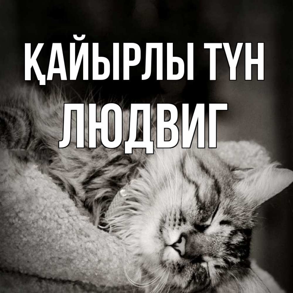 Күн сайын ашық хат с именем, Людвиг Қайырлы түн котярик пушистый Онлайн тегін жүктеп алу тілектері бар керемет карта 