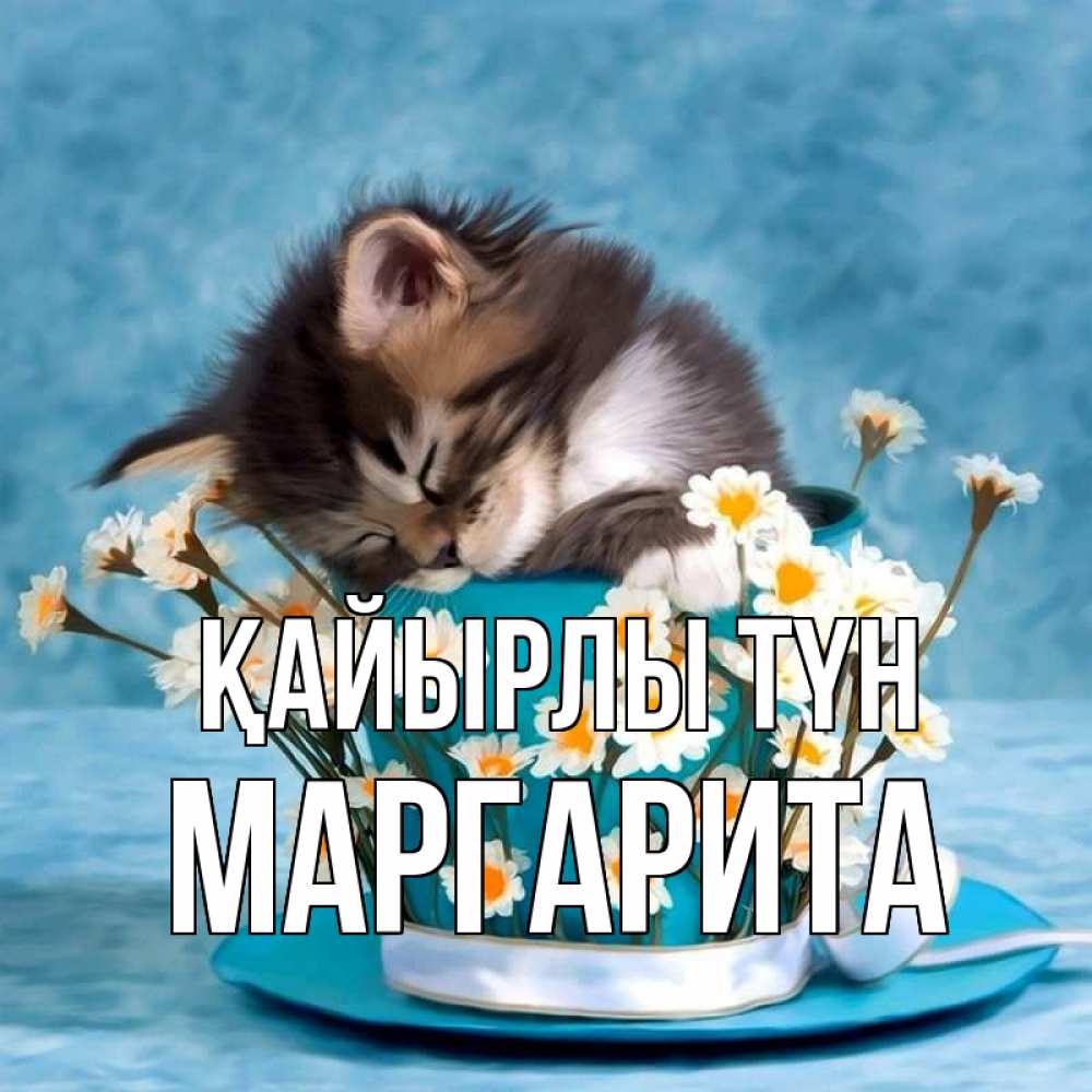 Күн сайын ашық хат с именем, Маргарита Қайырлы түн котенок спит в кружке с блюдцем Онлайн тегін жүктеп алу тілектері бар керемет карта 