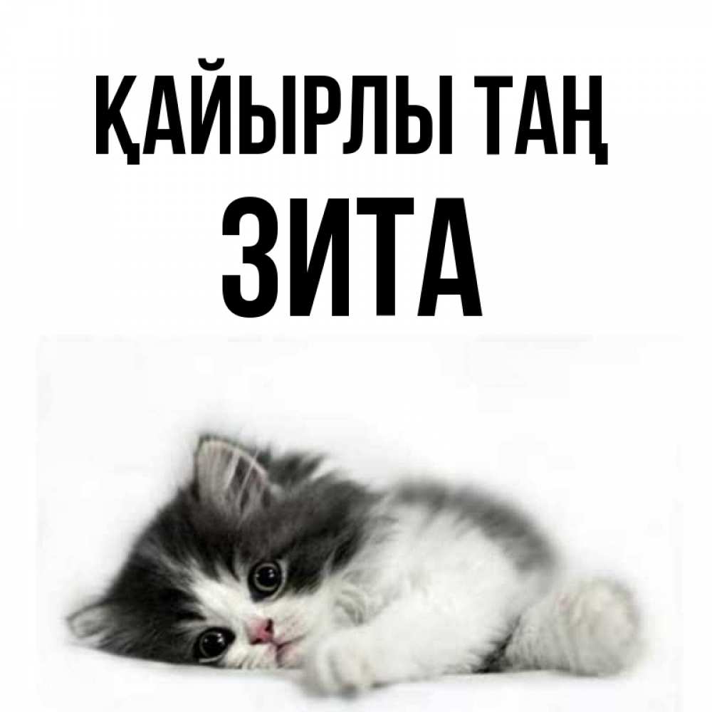 Күн сайын ашық хат с именем, Зита Қайырлы таң кот лапки Онлайн тегін жүктеп алу тілектері бар керемет карта 